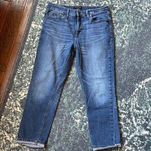 Banana Republic Straight Leg Blue Jeans Ankle